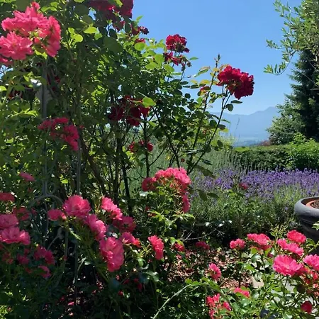 Casa Waldi Appartement Velden am Wörthersee